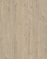 PŁYTA MDF LAMINOWANA  DWUSTRONNIE DĄB COASTLAND SZAMPAŃSKI 16mm K081SMD